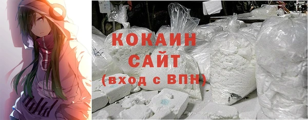 2c-b Богородицк